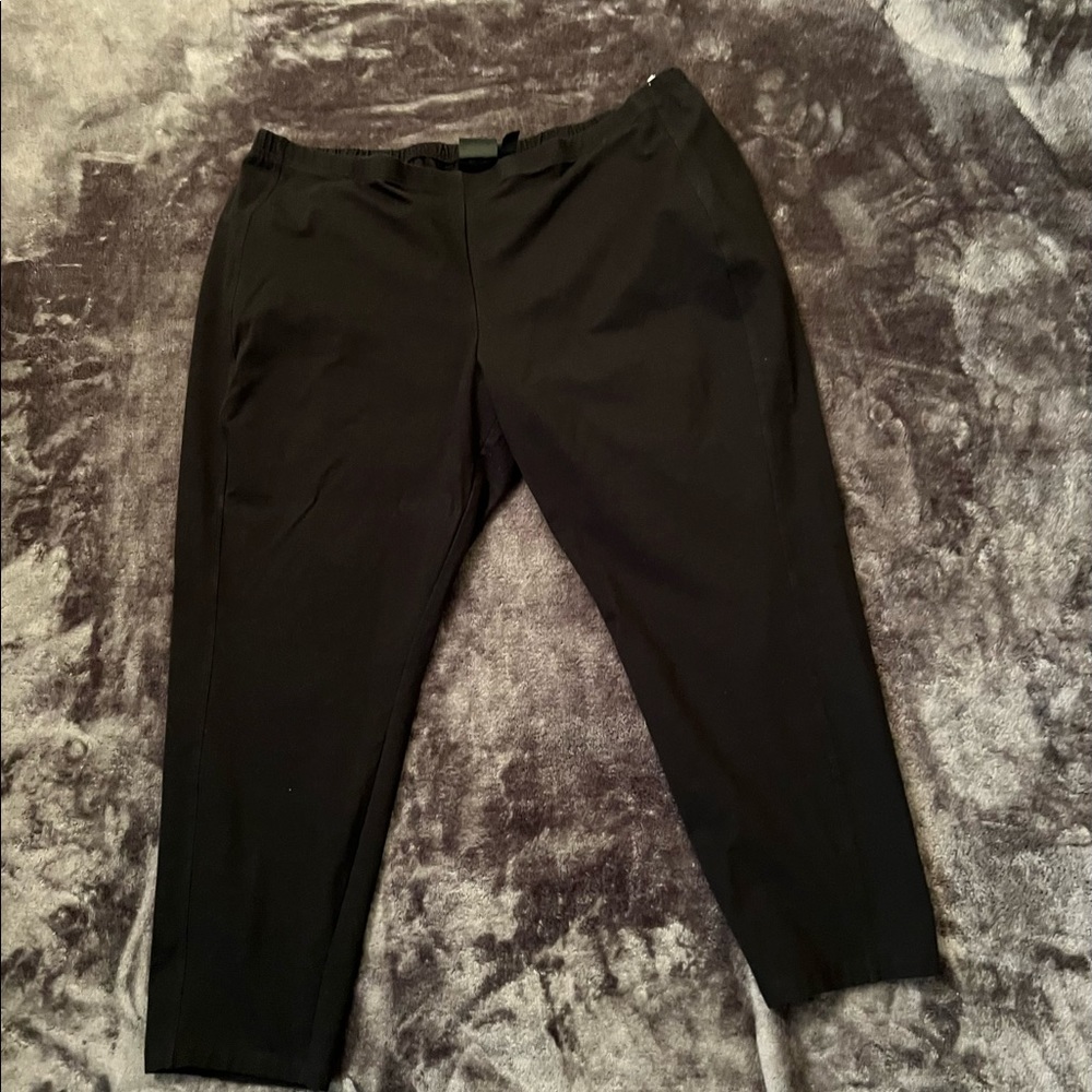 2/20 or 3 for 24 Women with control petite leggings 3X